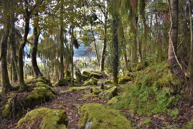 4-hour Lake Mapourika Kayak and Hike adventure, with Okarito Kiwi Sanctuary - Who will enjoy this outing most