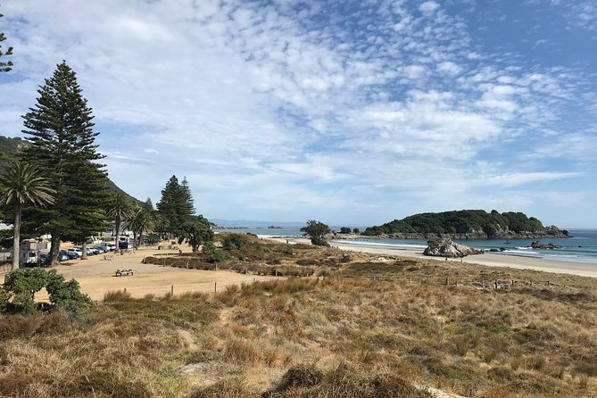 4hr Tauranga Scenic History and Tasting Tour FREE Kiwifruit Tasting - What this Tauranga tour is really offering