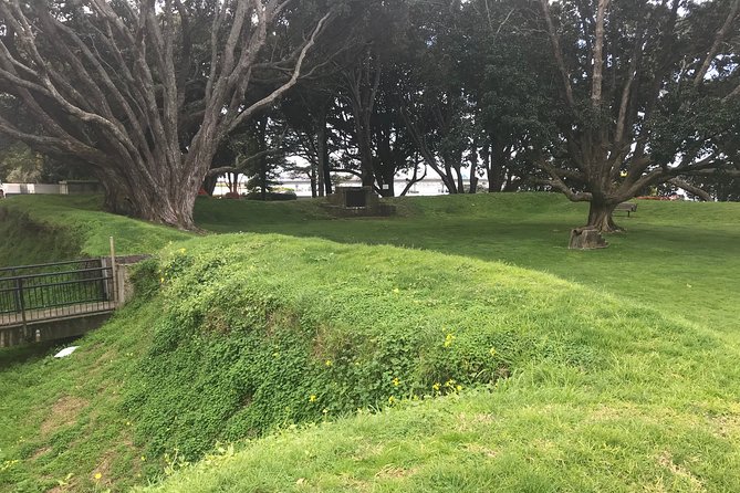 4hr Tauranga Scenic History and Tasting Tour FREE Kiwifruit Tasting - Is $65.54 good value?