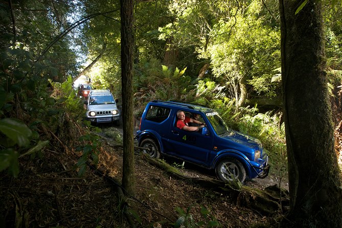 4WD Bush Safari at Off Road NZ - Key points before you book