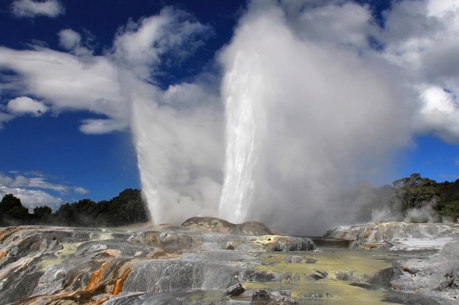 5-Day New Zealand North and South Island Highlights Tour - The Coastal Pacific from Picton to Kaikoura