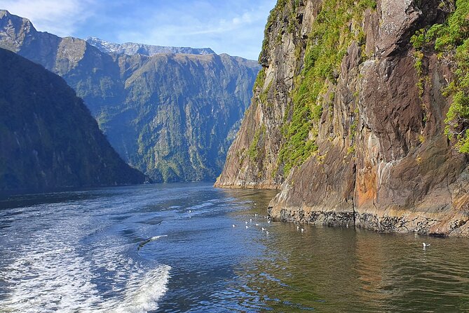 5 Day South Island New Zealand Private Tour from Queenstown - Key points to know before booking