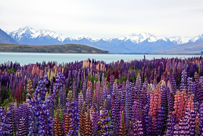 5-Day South Island Tour from Christchurch - Day 2: The long road to Milford Sound