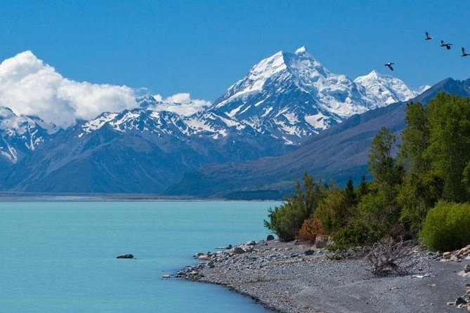 5-Day South Island Tour from Christchurch - Day 3: A needed pause in Queenstown
