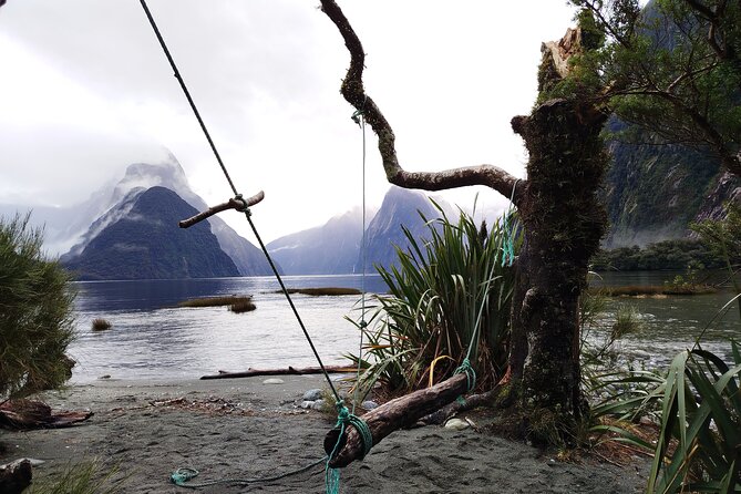 6 Day South Island New Zealand Private Tour from Auckland - Day 6: Glowworms and your final Queenstown choice