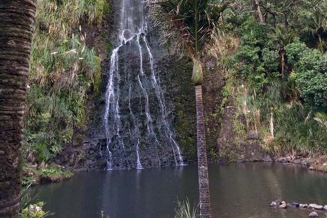 6 Hours Sightseeing Tour in Auckland - Wine tasting at Soljans Estate Winery