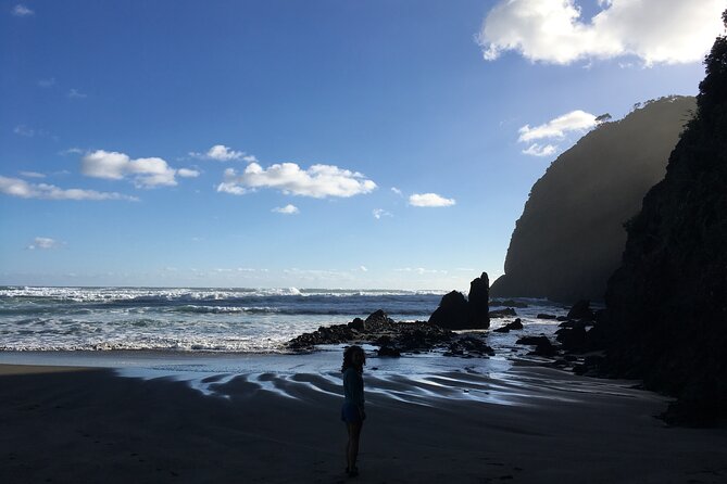 6 Hours Sightseeing Tour in Auckland - What the small group changes