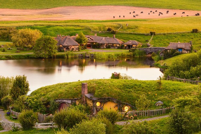 6 Hours Sightseeing Tour in Auckland - Who should book it