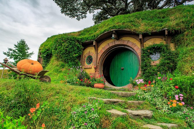 6hr Hobbiton Movie Set Tour - Departs Tauranga - The Drive Through Tauranga and the Kaimai Range