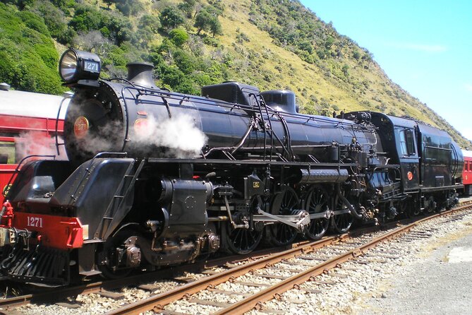 8-Hour Private Scenic Kapiti Coast Tour from Wellington - Zelati finishes the route with a sweet stop