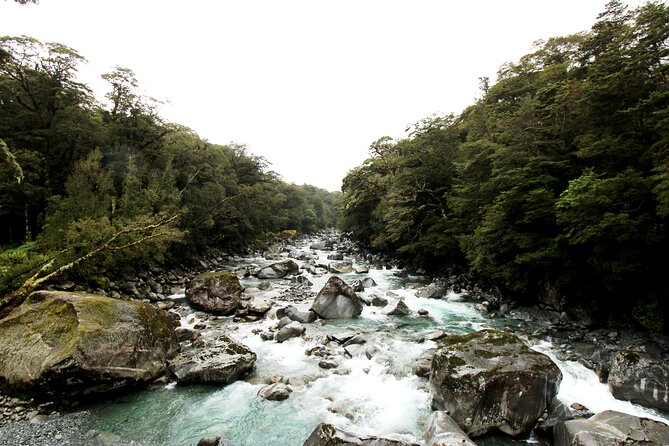9 Day South to North Island NZ Private Tour from Queenstown - Day 4: Lake Tekapo to Christchurch by road and rail