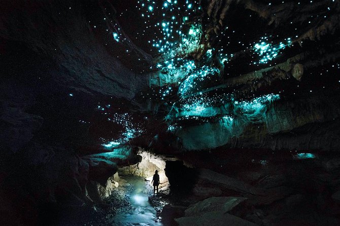 90-Minute Guided Ruakuri Cave Tour Waitomo - The Drum Passage, The Pretties, and Ghost Passage