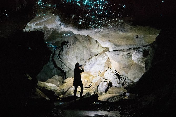 90-Minute Guided Ruakuri Cave Tour Waitomo - A gentle walk, with a few practical limits