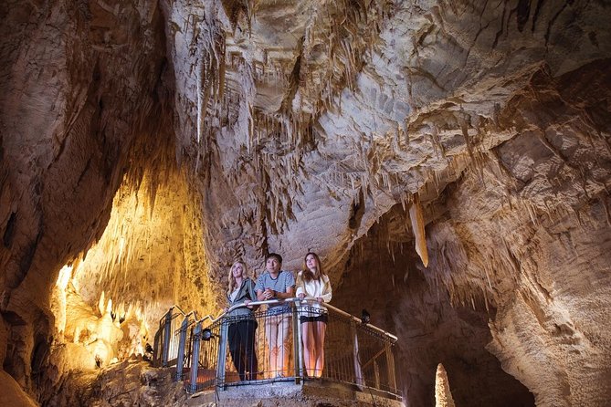 90-Minute Guided Ruakuri Cave Tour Waitomo - The spiral entrance sets the tone