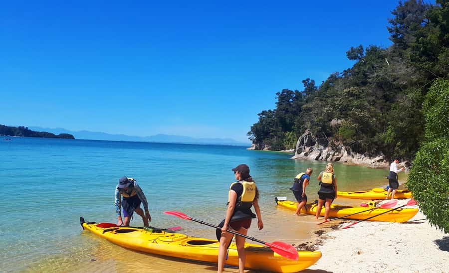 Abel Tasman Kayaks: 1 Day Freedom Kayak Rental - Watering Cove turns the paddle into a short walk