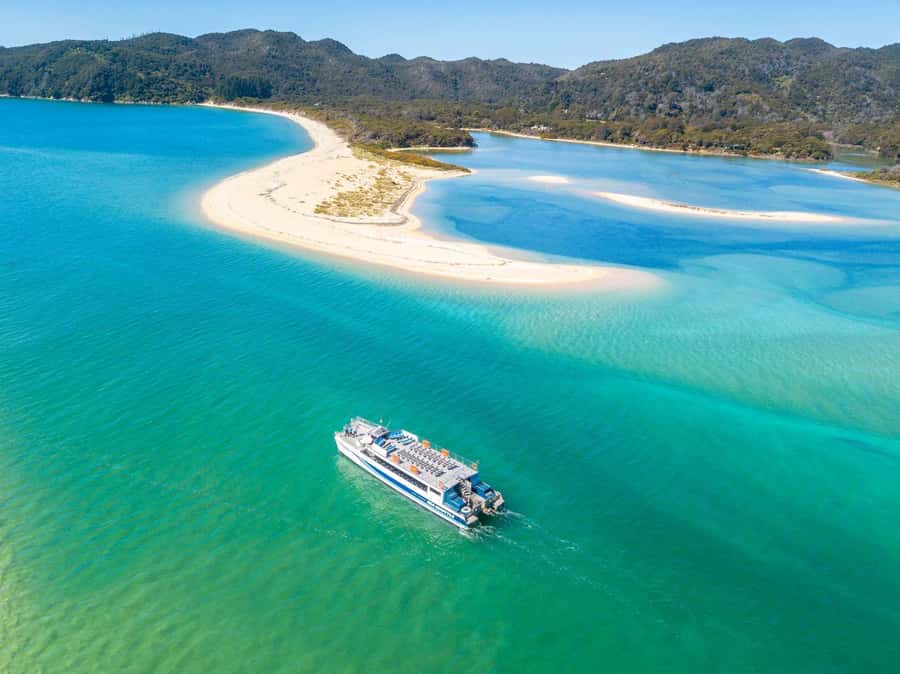 Abel Tasman National Full Park Scenic Cruise - Seals, birds, and the wild coast