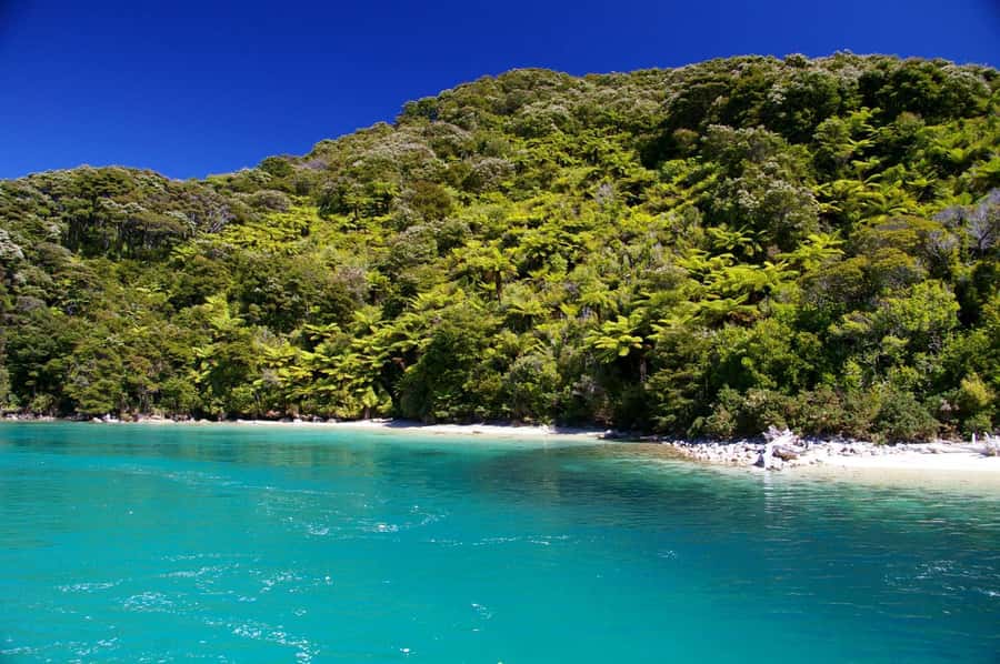 Abel Tasman National Full Park Scenic Cruise - Tonga Quarry and the northern bays