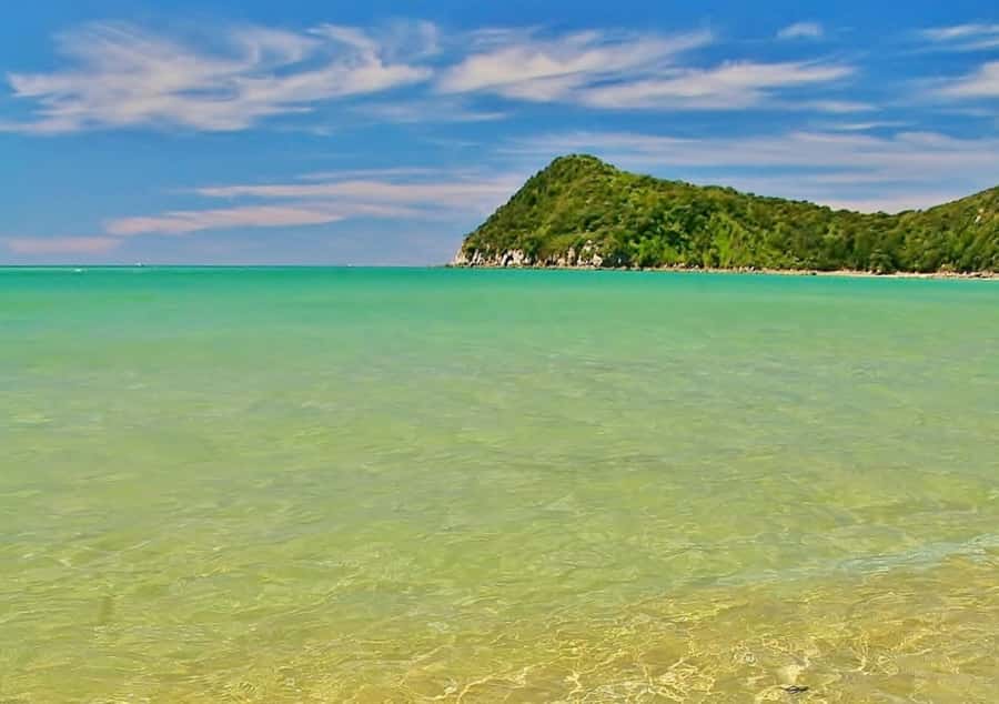 Abel Tasman National Full Park Scenic Cruise - Is the $59 price good value?