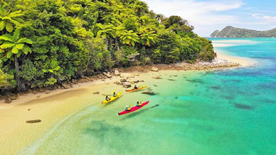 Abel Tasman National Park: Cruise, Kayak, & Hike Tour - Key details that shape the day