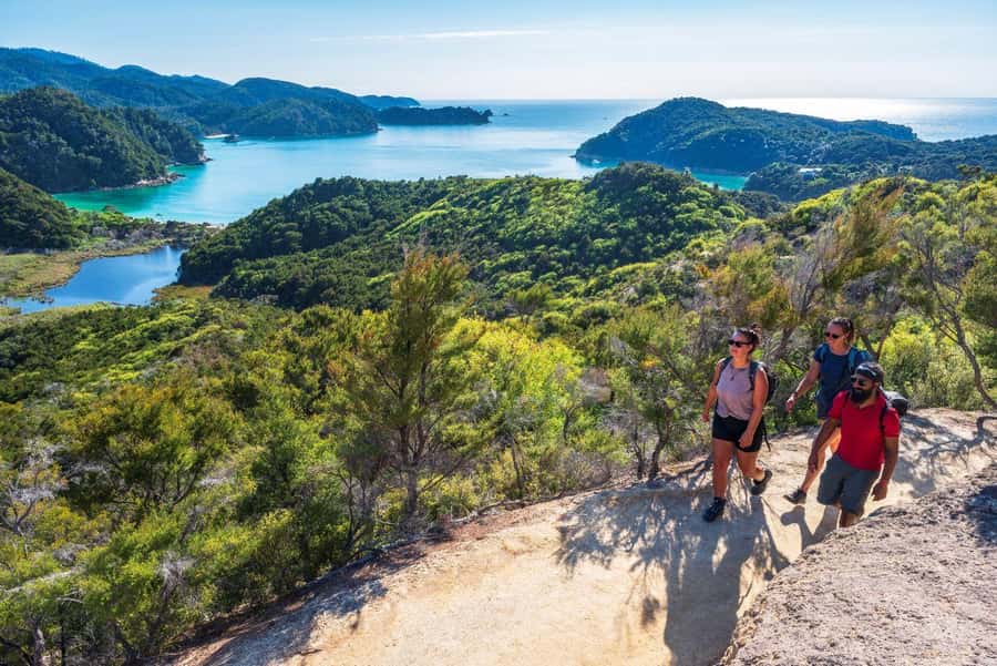 Abel Tasman National Park: Cruise, Kayak, & Hike Tour - Adele Island, seals, and the value of a predator-free sanctuary