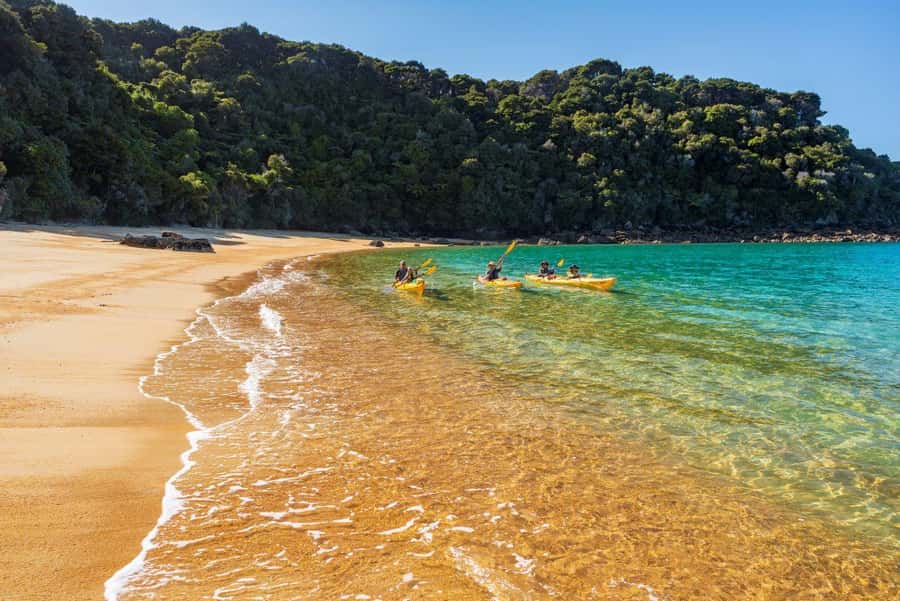 Abel Tasman National Park: Cruise, Kayak, & Hike Tour - The return cruise and the small-group advantage