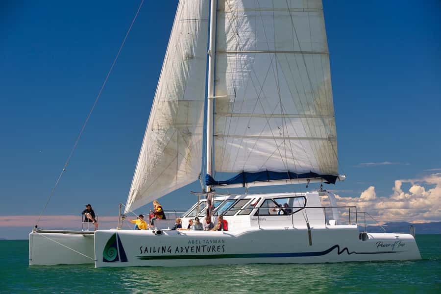 Abel Tasman National Park: Cruise, Walk & Sailing Tour - Walking the Pitt Head loop track