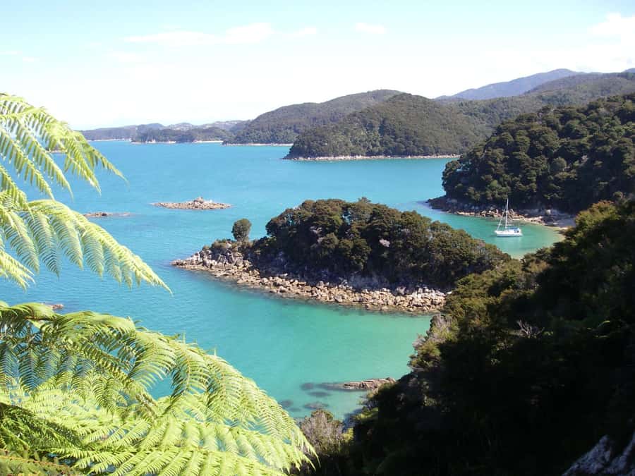 Abel Tasman National Park: Sailing and Self-Guided Walk - Key points at a glance
