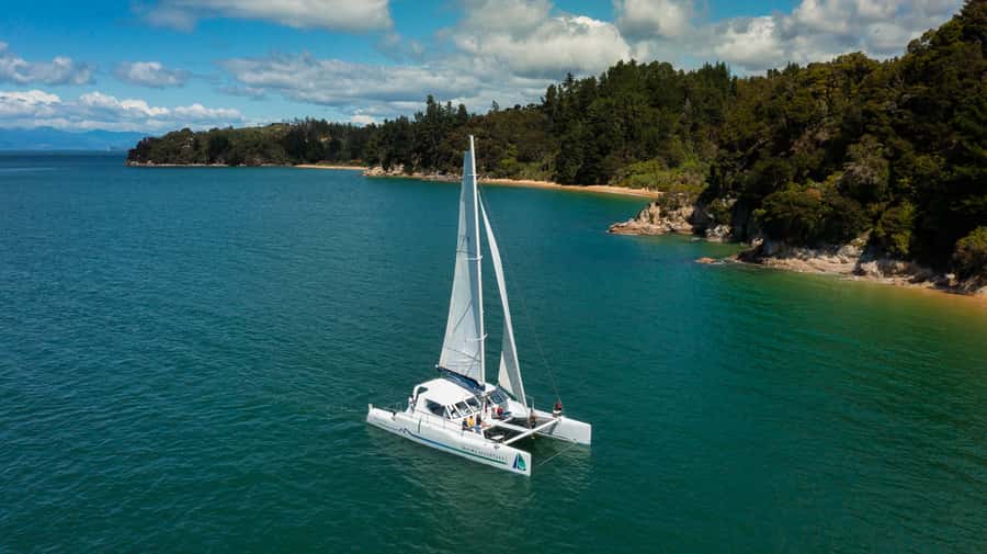 Abel Tasman National Park: Self-Guided Walk & Sailing - Walking the coastal track to Anchorage Bay