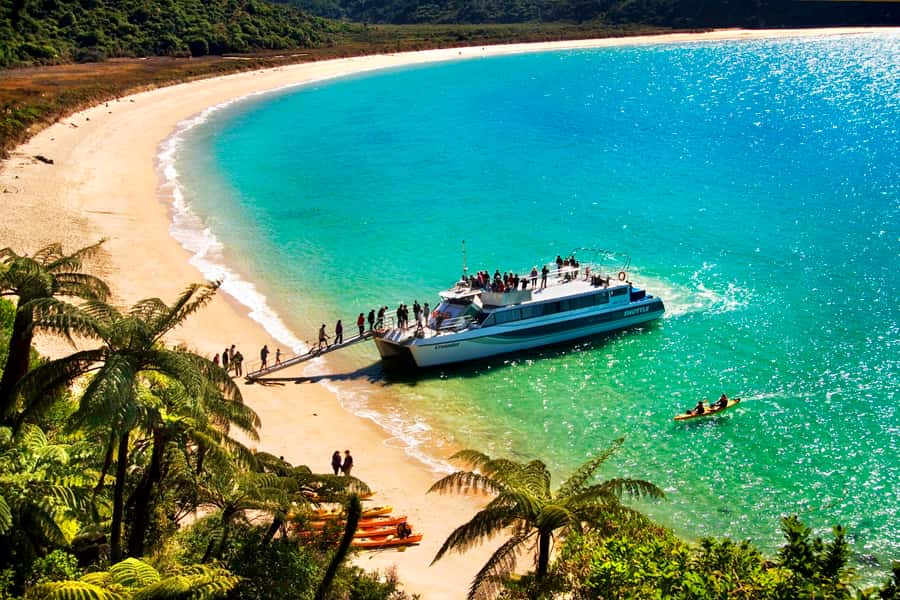 Abel Tasman: Sea Shuttle Cruise and Walking Tour Combo - The cruise: Split Apple Rock to Adele Island