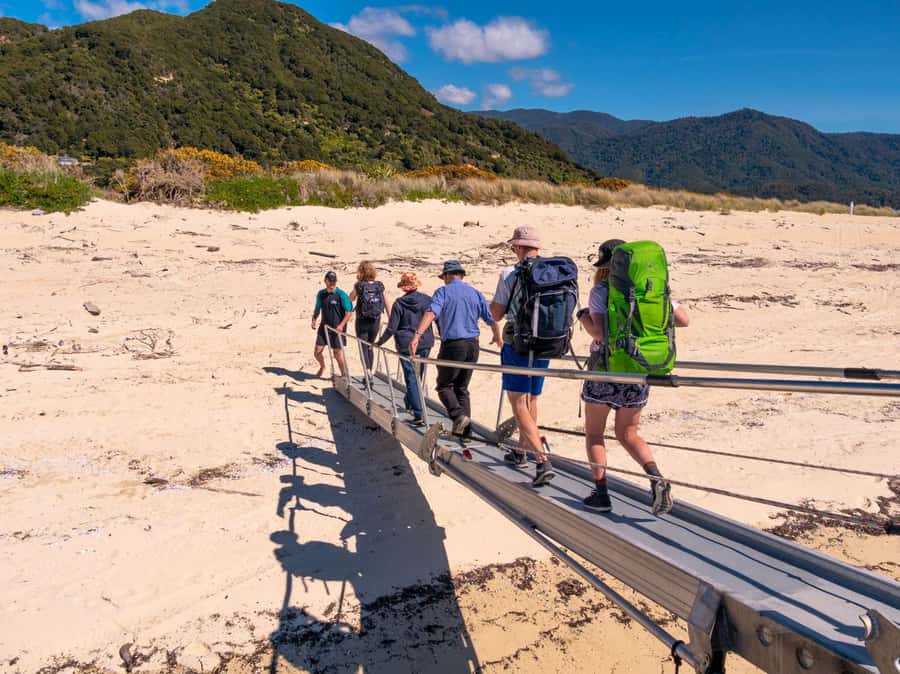 Abel Tasman: Sea Shuttle Cruise and Walking Tour Combo - Option A: Apple Tree Bay to Anchorage