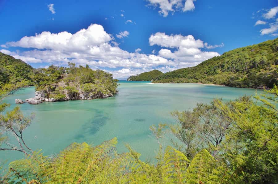 Abel Tasman: Sea Shuttle Cruise and Walking Tour Combo - How hard are the walks?