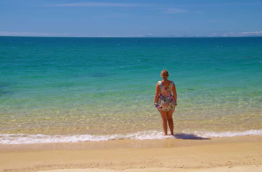 Abel Tasman: Sea Shuttle Cruise and Walking Tour Combo - Beaches, swimming, and time pressure