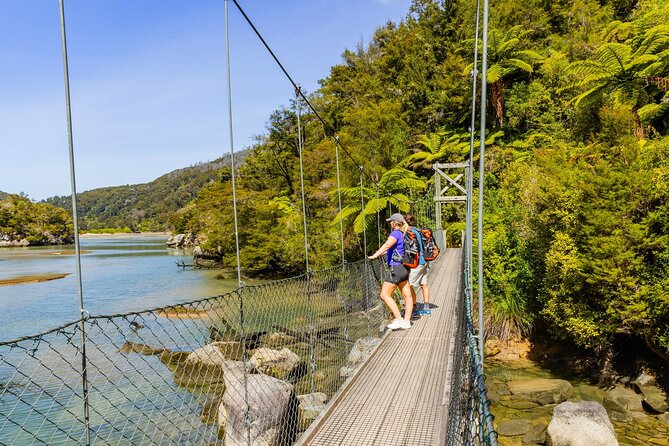 Abel Tasman Vista Cruise - Choosing between staying aboard and walking ashore