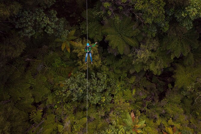 Adventurous Zipline Tour in Coromandel - Arriving at Driving Creek Road