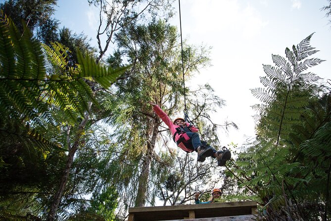 Adventurous Zipline Tour in Coromandel - Why the guides matter