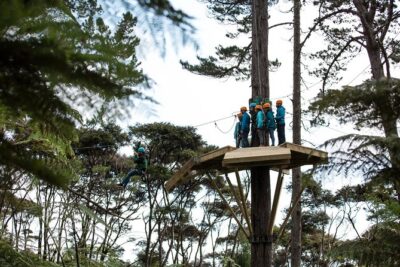 Adventurous Zipline Tour in Coromandel