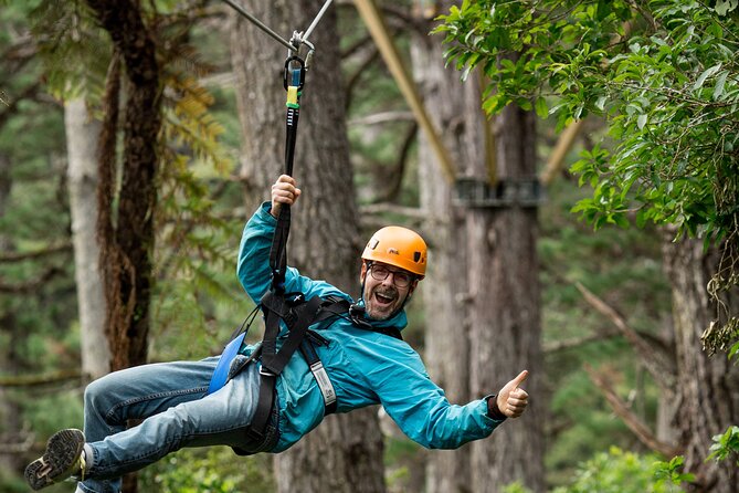 Adventurous Zipline Tour in Coromandel - The conservation story behind the ticket