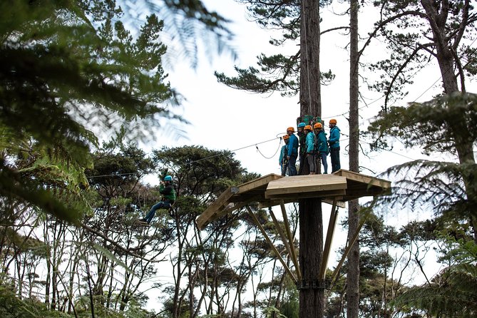 Adventurous Zipline Tour in Coromandel - Eight ziplines through trees and gullies