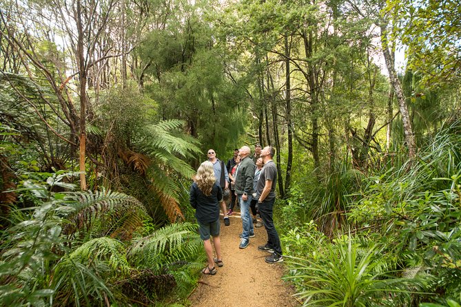 Afternoon Piha Beach and Rainforest Tour from Auckland - Piha Beach and its striking black sand