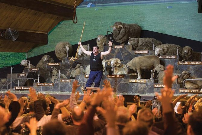 Agrodome Farm Experience including Farm Show and Farm Tour - Rotorua - Agrodome Farm Experience at a glance