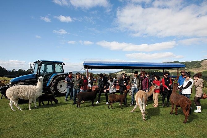 Agrodome Farm Experience including Farm Show and Farm Tour - Rotorua - The one-hour farm tour by all-weather trailer