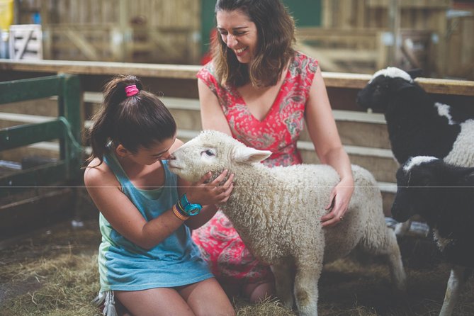 Agrodome Farm Experience including Farm Show and Farm Tour - Rotorua - Feeding sheep, alpacas, deer, and more