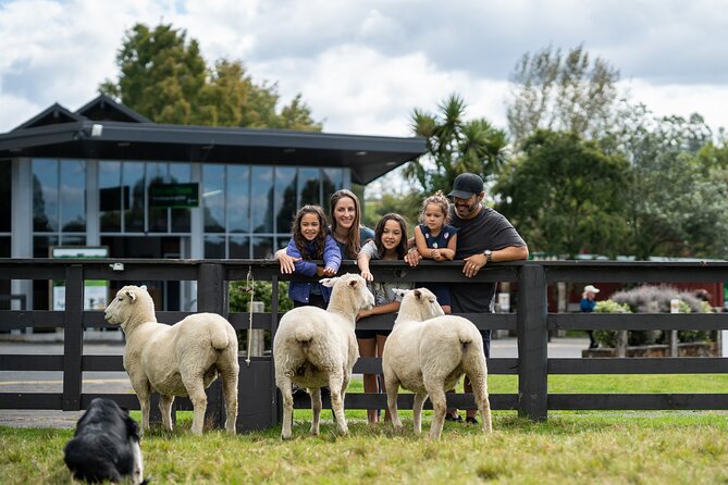 Agrodome Farm Experience including Farm Show and Farm Tour - Rotorua - The nursery and baby farm animals