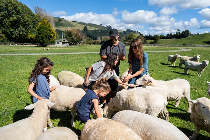 Agrodome Farm Experience including Farm Show and Farm Tour - Rotorua - Why this is more than a sheep photo stop