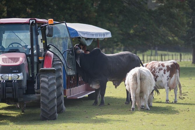 Agrodome Farm Experience including Farm Show and Farm Tour - Rotorua - Who will enjoy Agrodome most