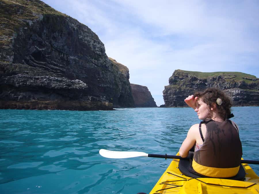 Akaroa: 4WD Safari and Guided Sea-Kayaking Experience - Who will enjoy this Akaroa outing?