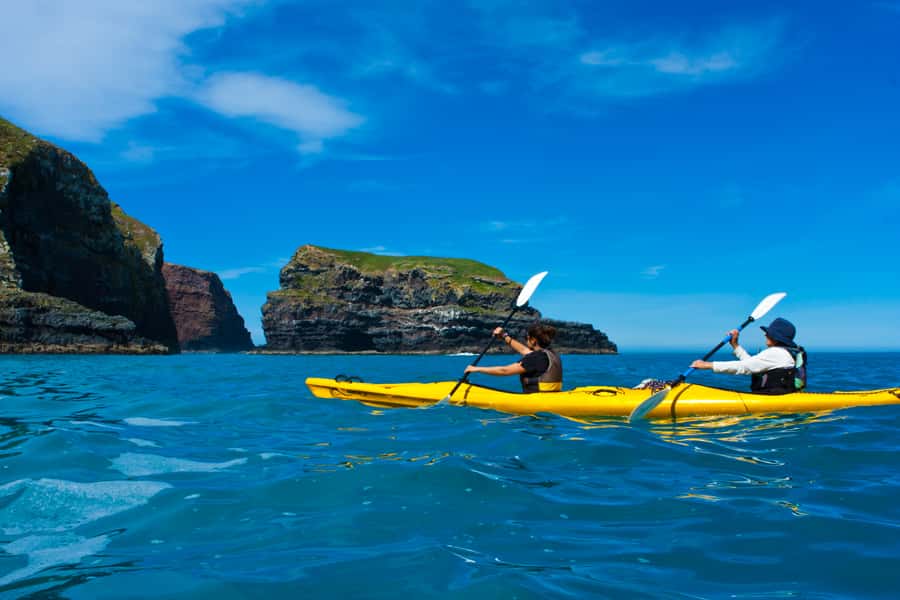 Akaroa: 4WD Safari and Guided Sea-Kayaking Experience - Guides who add meaning to the outing