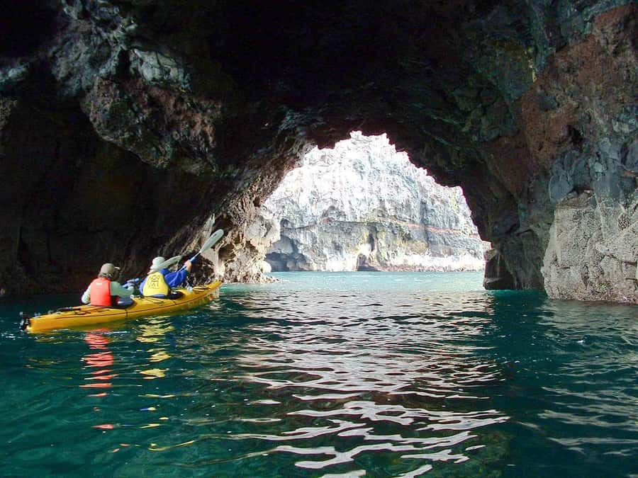 Akaroa: 4WD Safari and Guided Sea-Kayaking Experience - What happens if the sea turns rough