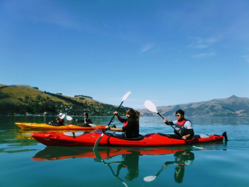 Akaroa: Akaroa Marine Reserve Sea Kayaking Tour - What $80 gets you