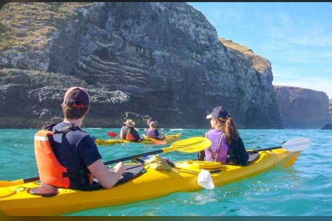 Akaroa Day Tour From Christchurch - Why this Christchurch to Akaroa trip works
